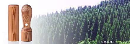 智頭杉（ちづすぎ）