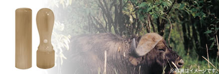 オランダ水牛[特上]