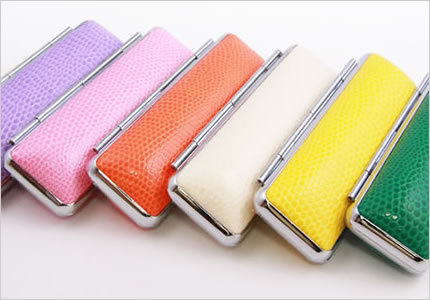 サニートカゲケース